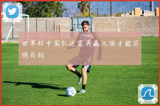 世界杯中国队还需再赢几场才能实现目标